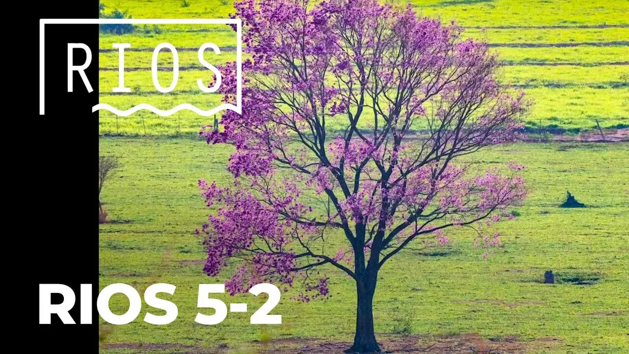 Especial Rios 5-2: Hidrovia Tietê-Paraná, local de passagem para a transportação de grãos