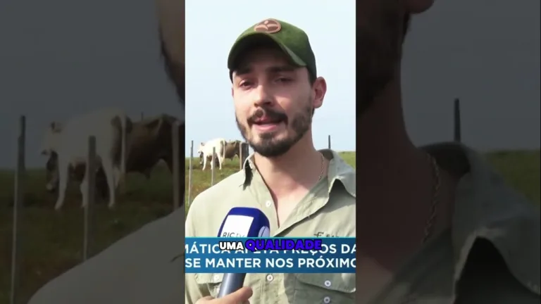 Condição climática afeta preços das carnes; cenário deve se manter nos próximos meses