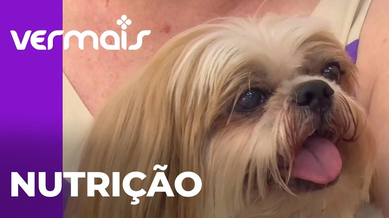 Mais Pet: tudo sobre nutrição animal; saiba a alimentação apropriada para cães e gatos