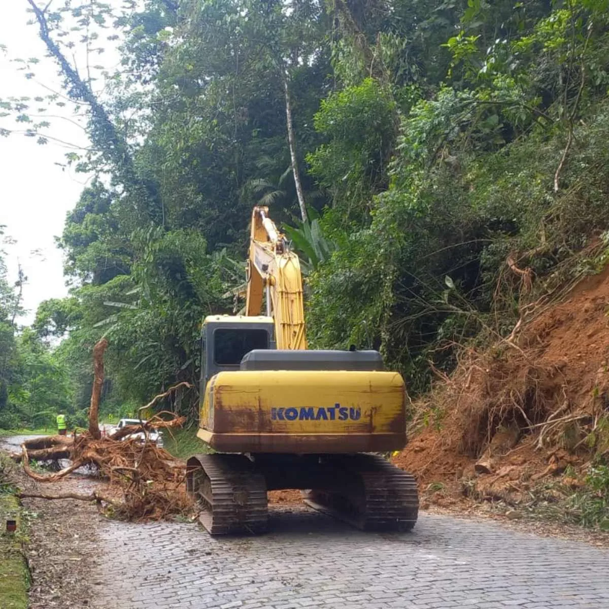 Estrada da Graciosa terá restrições de tráfego para retirada de árvores caídas