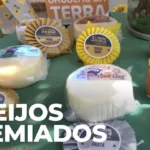Queijos produzidos no norte do Paraná são premiados no Mundial do Queijo