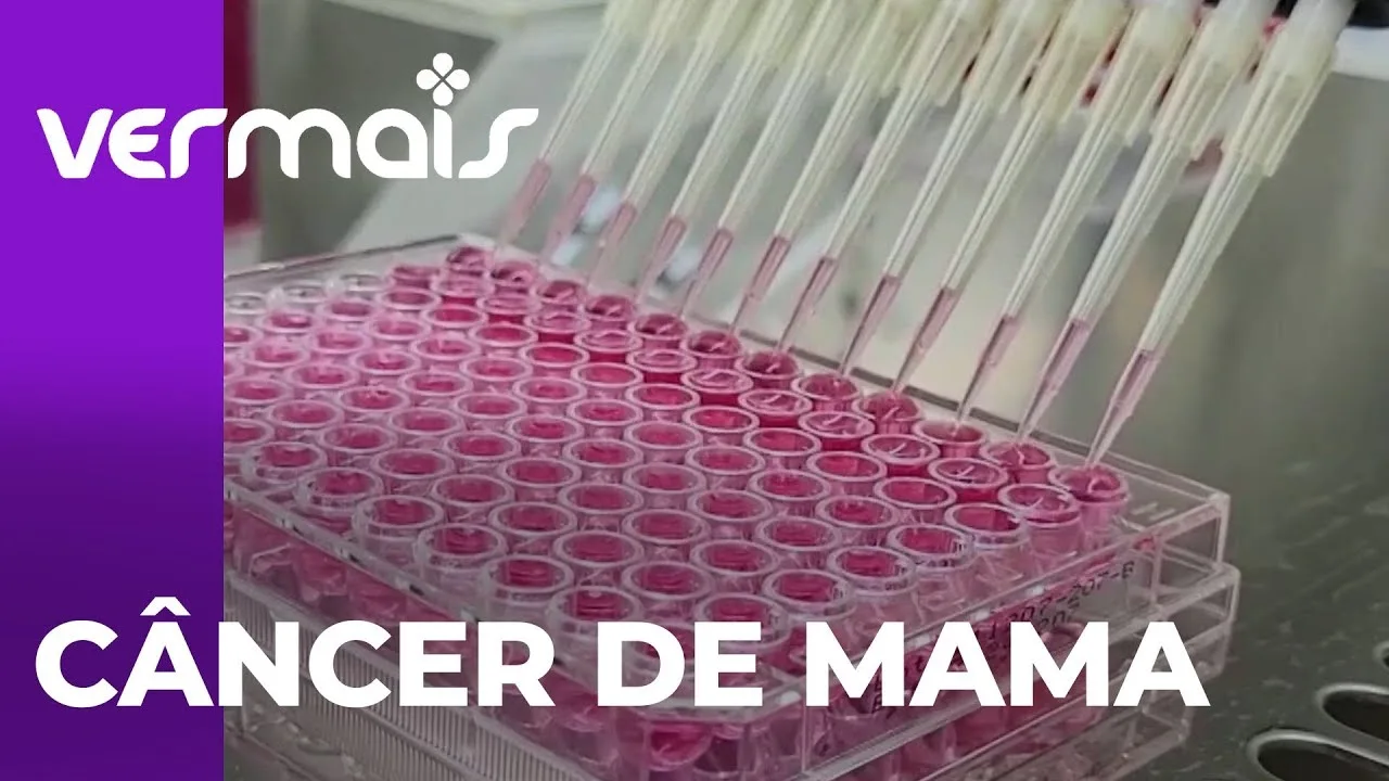 Pesquisadores da UEM investigam própolis como alternativa no tratamento de câncer de mama