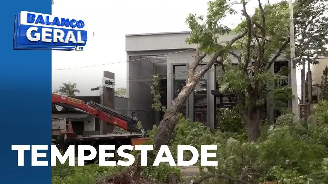 Tempestade: chuva e ventos causam queda de árvores, falta de luz e destelhamento, em Maringá