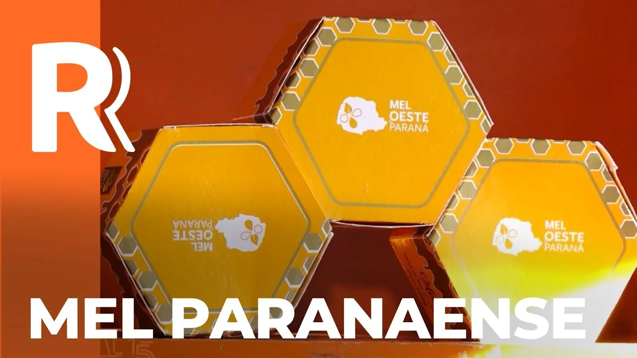 Paraná é o segundo maior produtor de mel nacional e se destaca pela qualidade do produto
