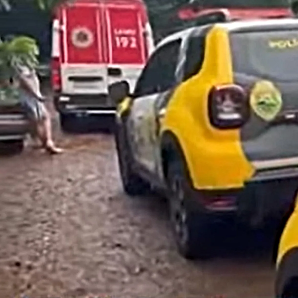 Um jovem de 20 anos, suspeito de matar a namorada adolescente, foi preso em Santa Helena, no oeste do Paraná, na tarde de sábado (7), poucas horas após o crime. De acordo com a Polícia Militar do Paraná (PMPR), ele atirou na cabeça da vítima após uma discussão motivada por ciúmes. A arma do crime não foi encontrada pelos policiais.