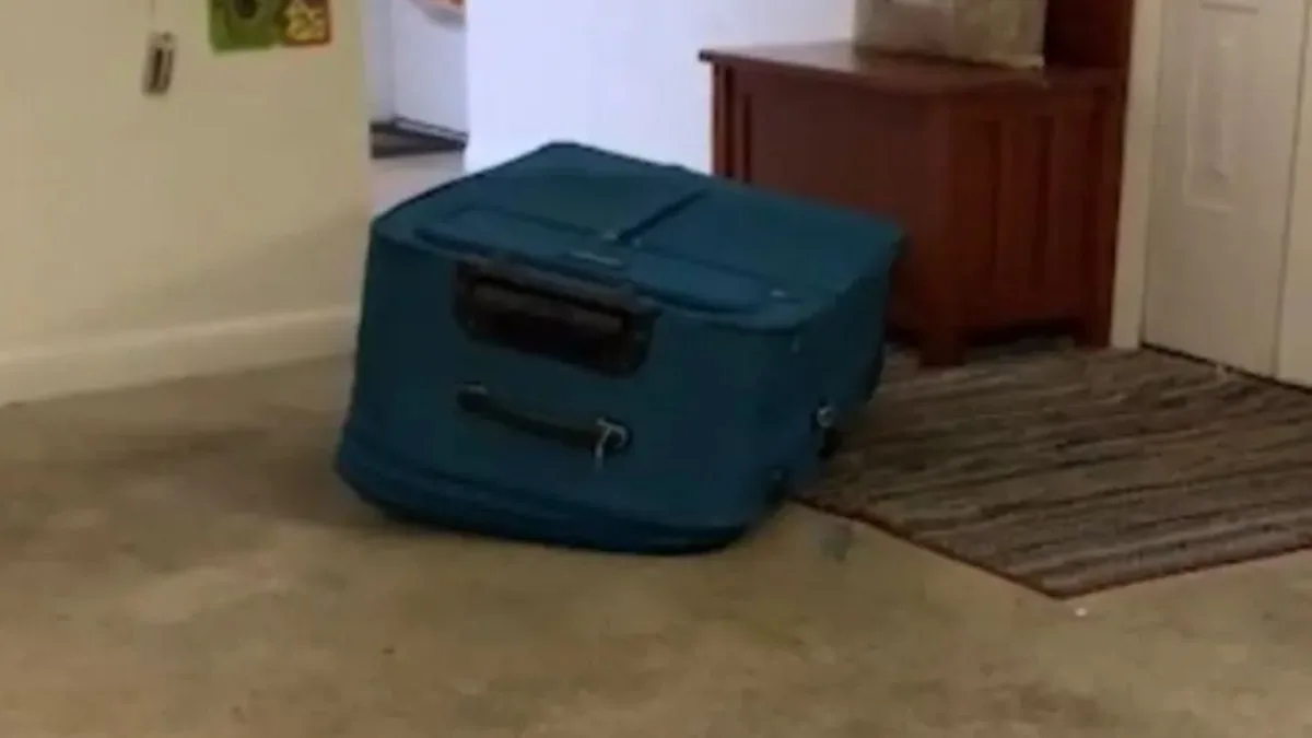 O homem implorou por ajuda, mas foi ignorado