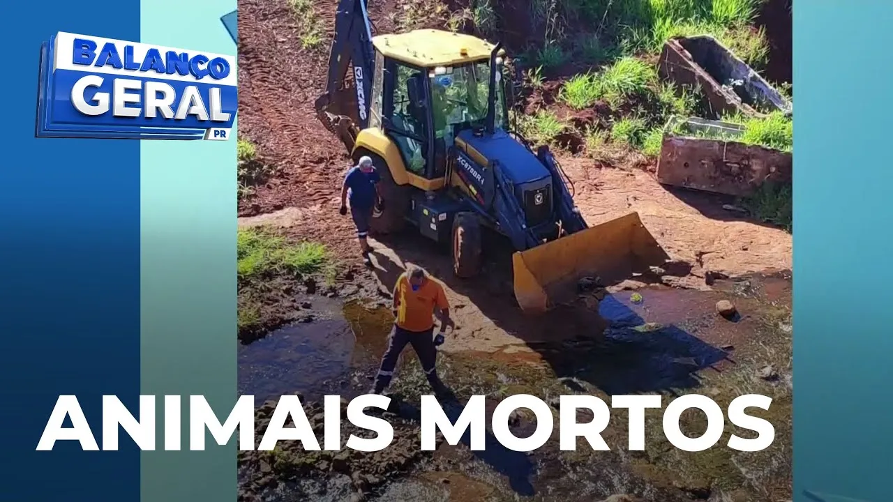 Animais com cabeças arrancadas são encontrados em ribeirão