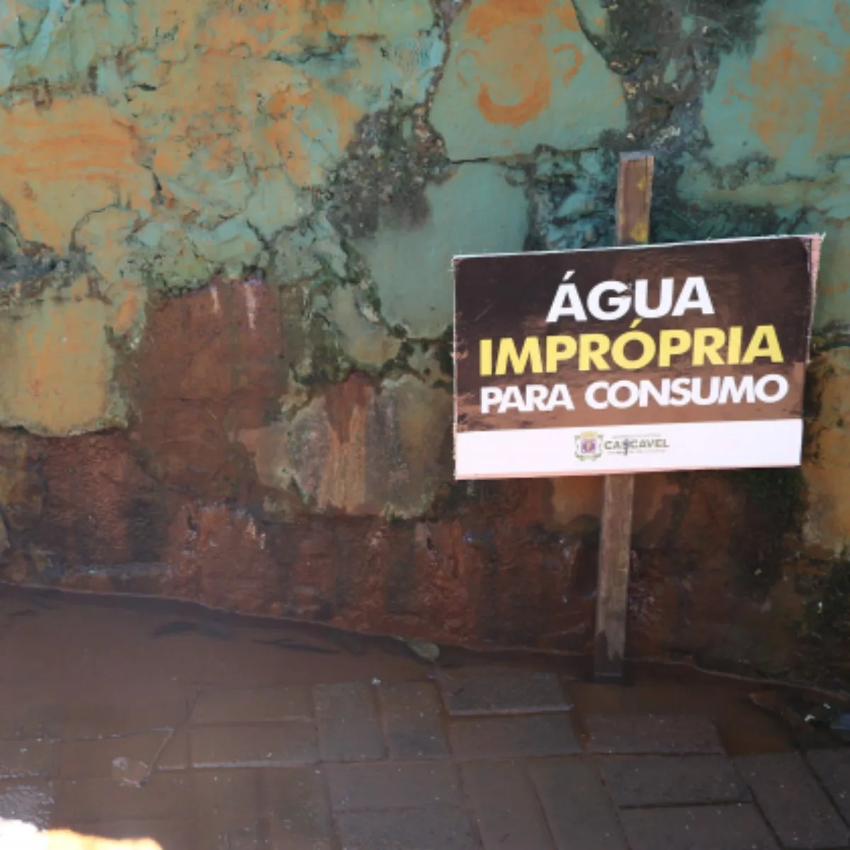 A Justiça condenou o Município de Cascavel, no oeste do Paraná, ao pagamento de indenização por danos morais coletivos no valor de R$ 70 mil, pela omissão de informações sobre a contaminação de 22 fontes públicas de água, nos anos de 2015 e 2016. Conforme o Ministério Público do Paraná (MPPR), o Poder Judiciário reconheceu a denúncia da ação civil pública movida pelo órgão, por meio da 9ª Promotoria de Justiça de Cascavel.