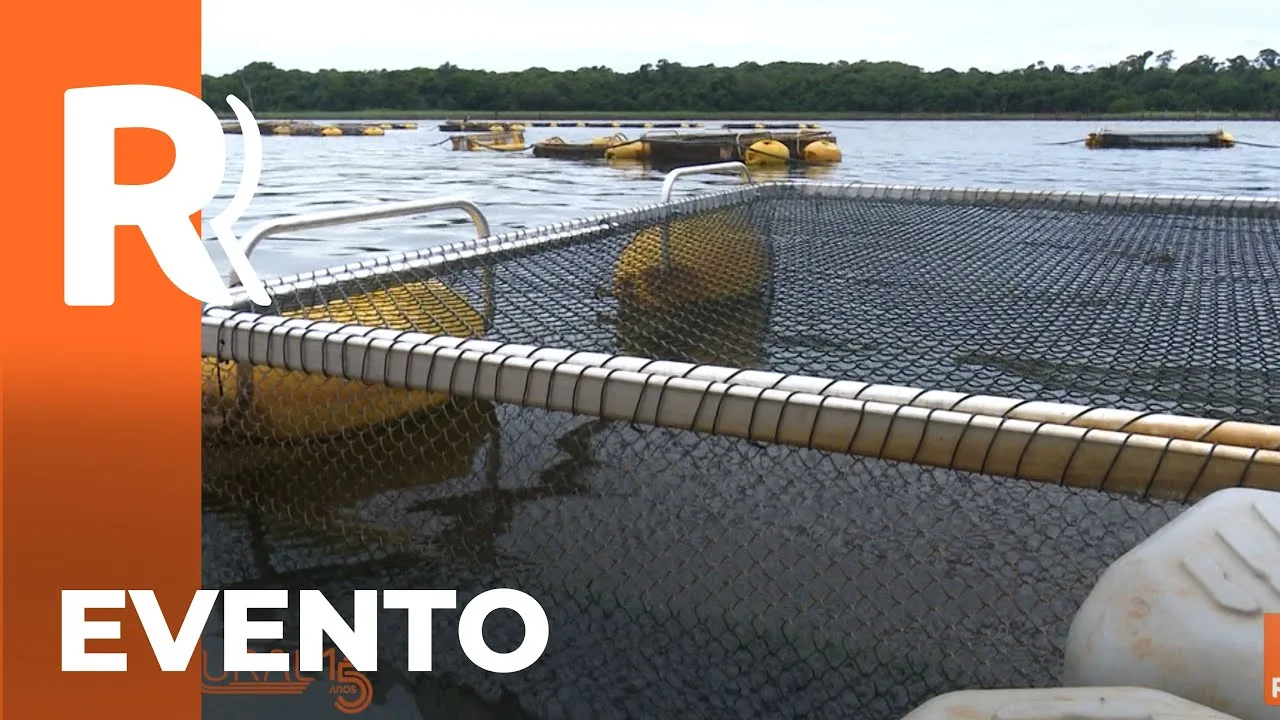 Conferência de pescados Foz do Iguaçu