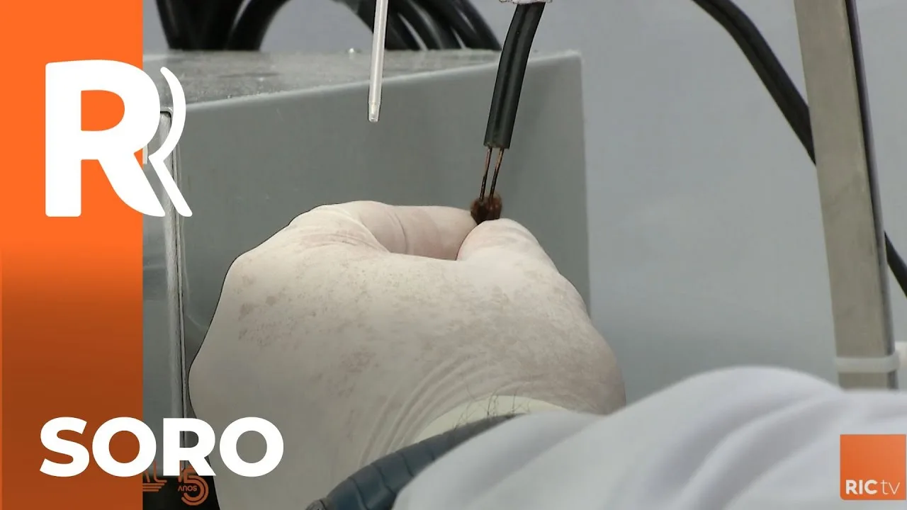 Produção de soro antiofídico