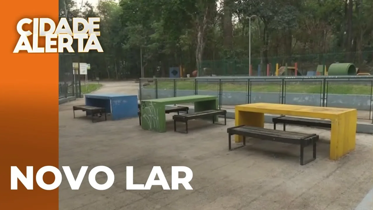 Casal estaria morando embaixo da mesa de pingpong