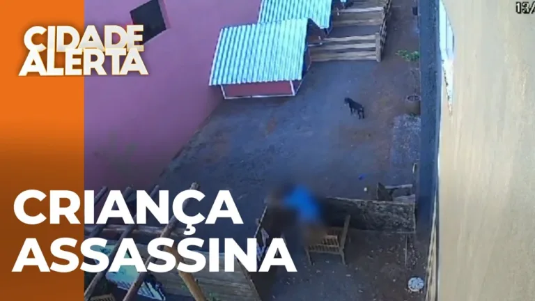 Menino de 9 anos invade hospital veterinário e mata vários animais