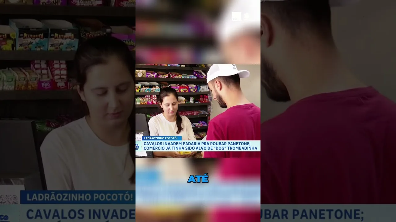 Cavalos invadem padaria para 'furtar' panetone; câmera registrou o ocorrido