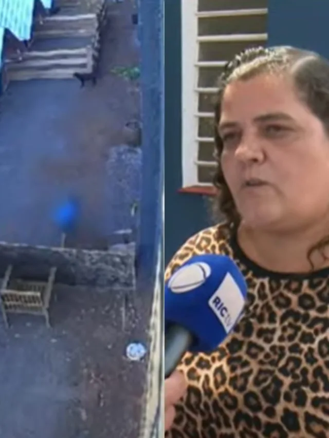 “Nunca foi agressivo”, diz diretora sobre criança que matou 23 animais no PR