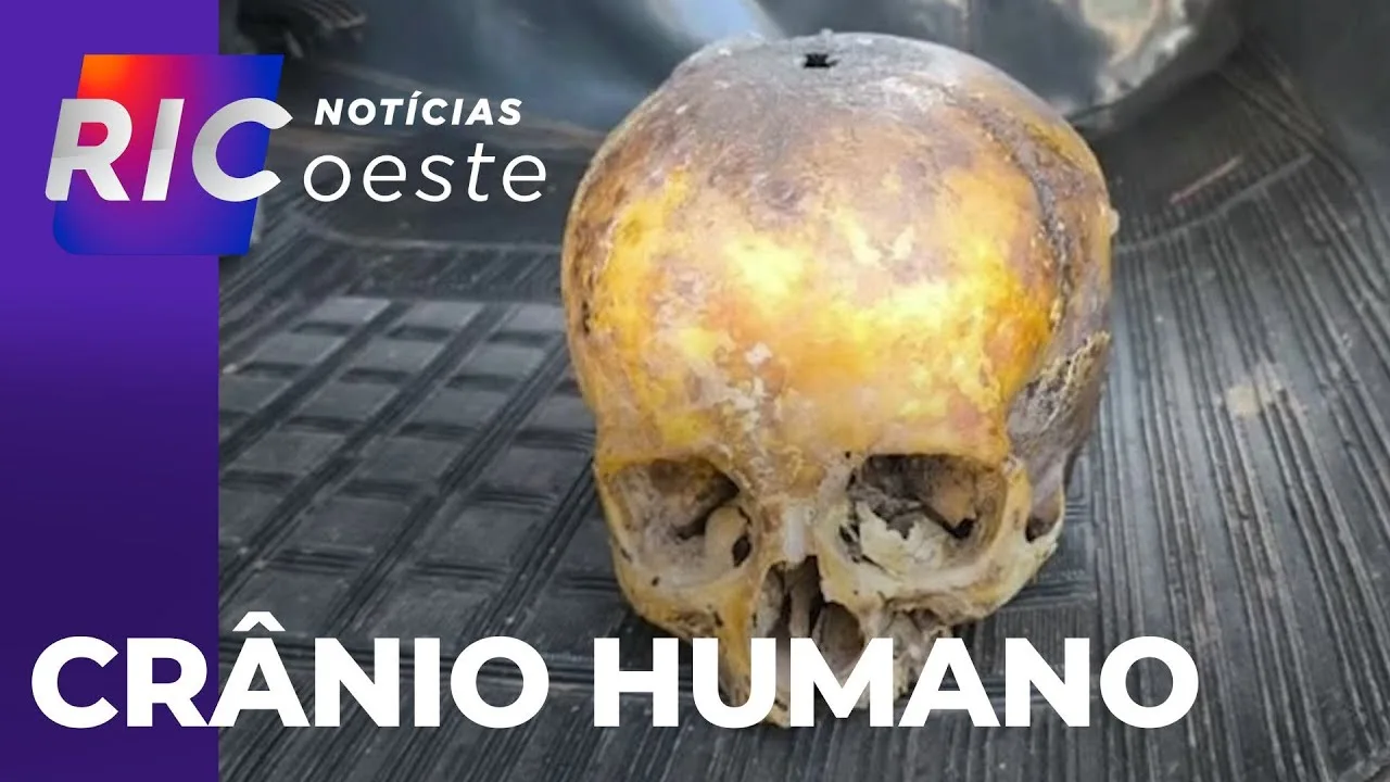 Crânio humano é encontrado em lixeira, pela equipe da Secretaria do Meio Ambiente