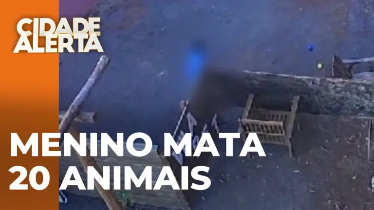 Atualizações do caso de criança de 9 anos causa a morte de 20 animais em hospital veterinário