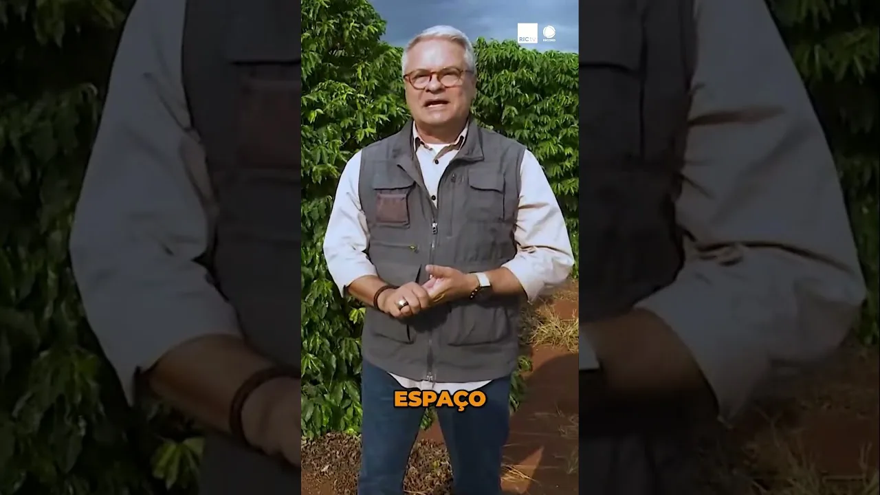 O Futuro da Cafeicultura Paranaense #café #Mandaguari #Paraná