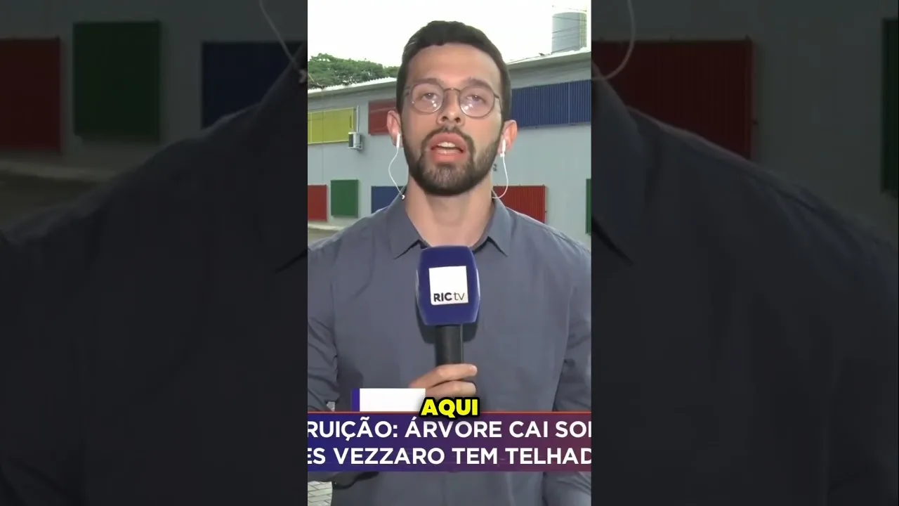 Chuva e destruição: árvore cai sobre carro e escola Hermes Vezzaro tem telhado arrancado