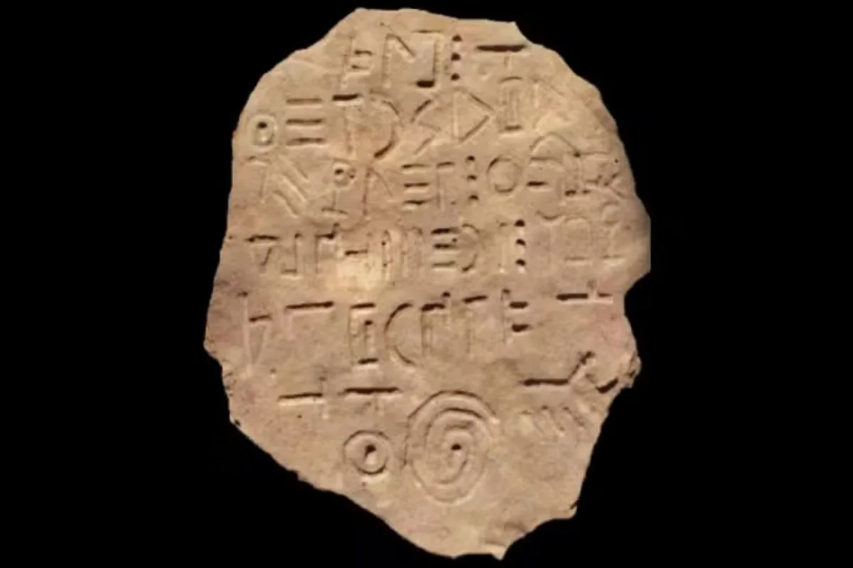 Tábua encontrada por pescadores na Geórgia - Foto: Reprodução