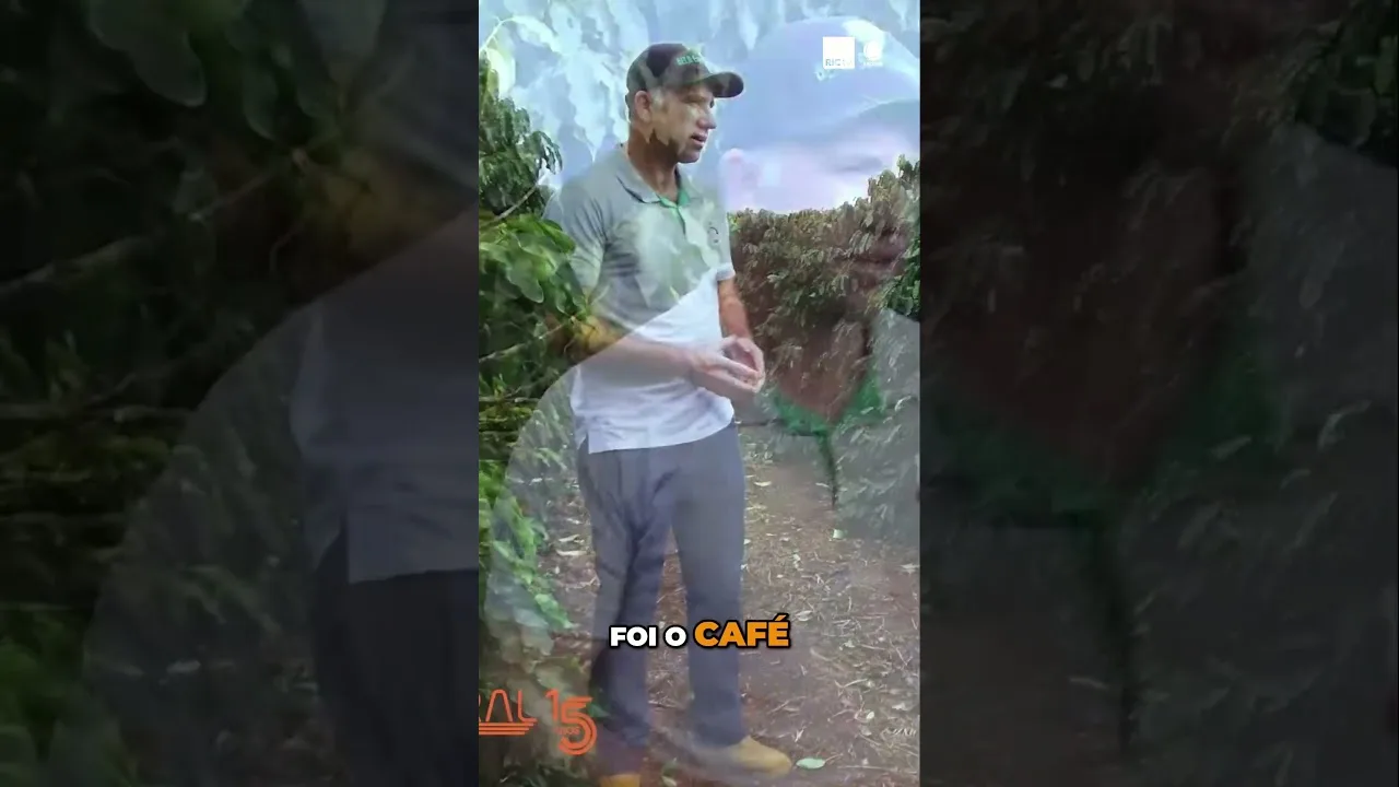 A Persistência no Café #café #história #Mandaguari