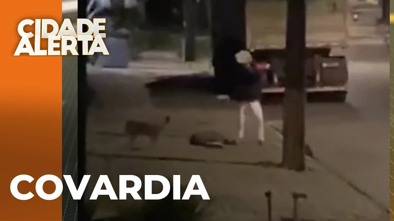 Covardia brutal: Mulher atacada a pedradas está internada em estado grave