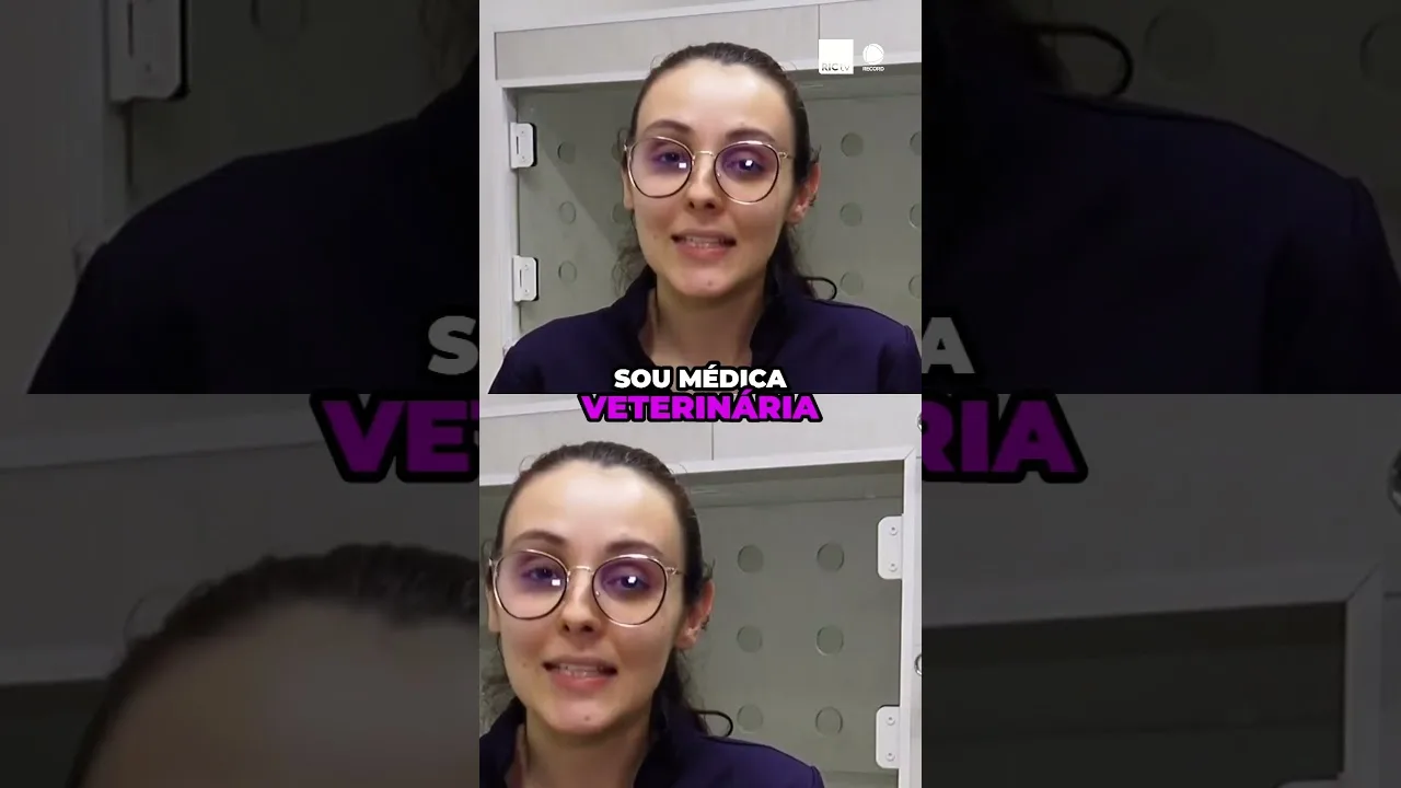 Cuidados com seu pet: como tratar alergias de seu animal de estimação