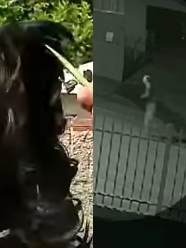 Homem abandona carro após atingir três veículos; apenas peruca ficou para trás