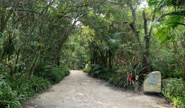 trilha em meio a natureza