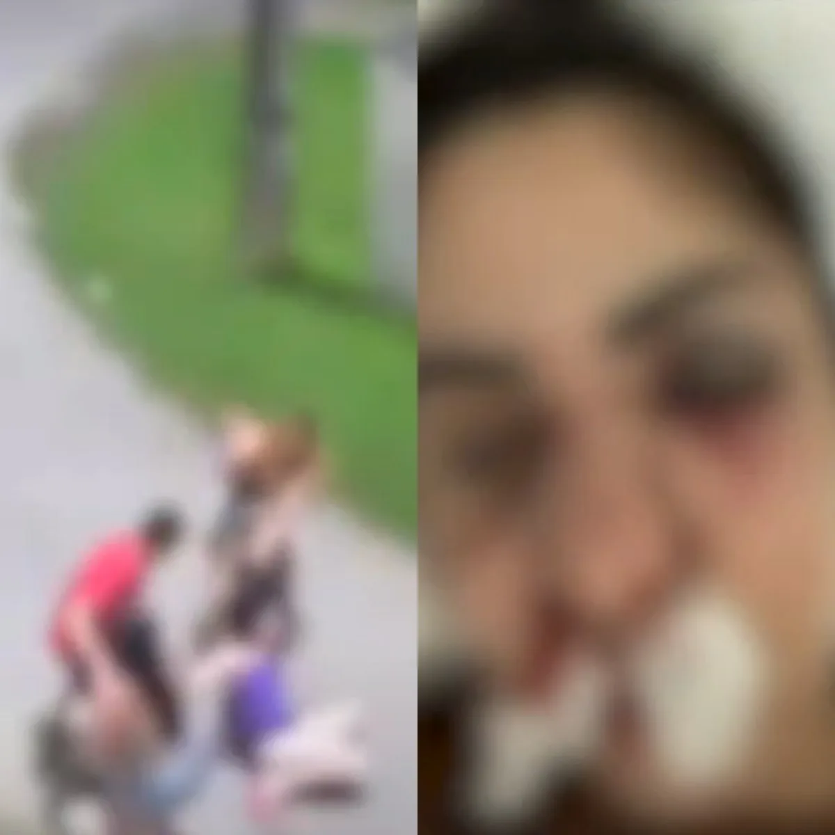 Vídeo mostra vizinhos espancando mulher; latidos de cachorro teria motivado briga