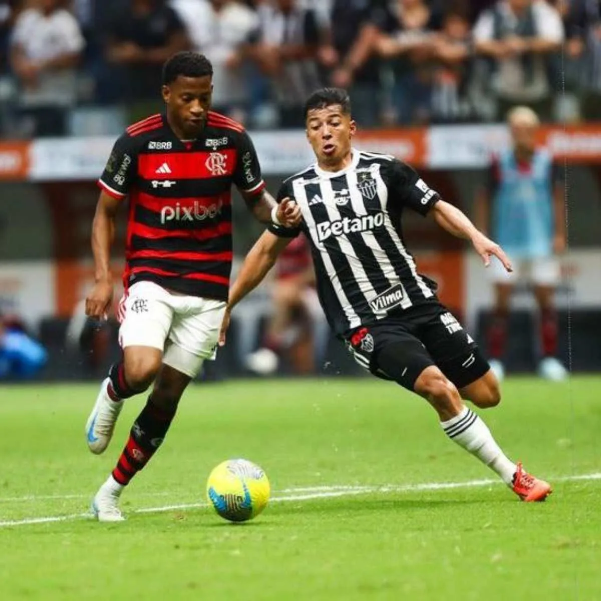 Flamengo x Atlético-MG: onde assistir aos jogos de hoje (13/11/2024)