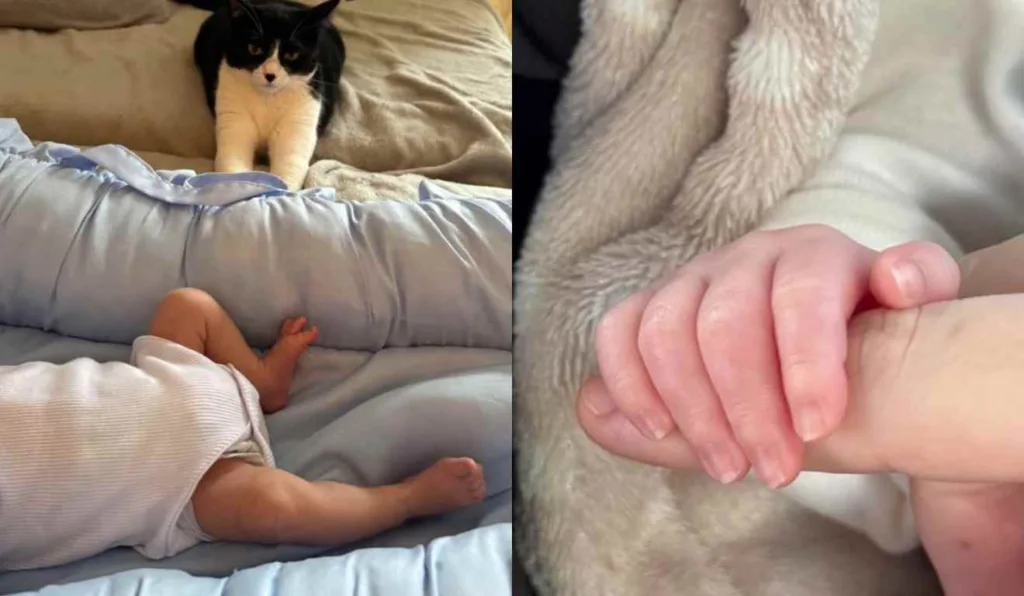 Filho de Isabel Veloso recebe alta quase um mês depois de nascer