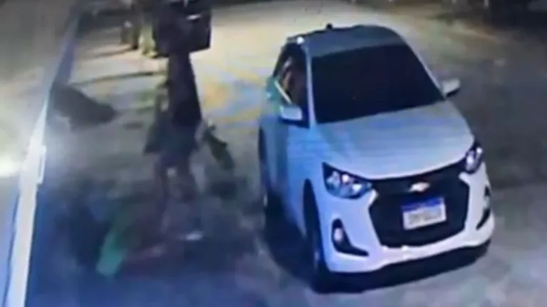 o animal estava sem focinheira