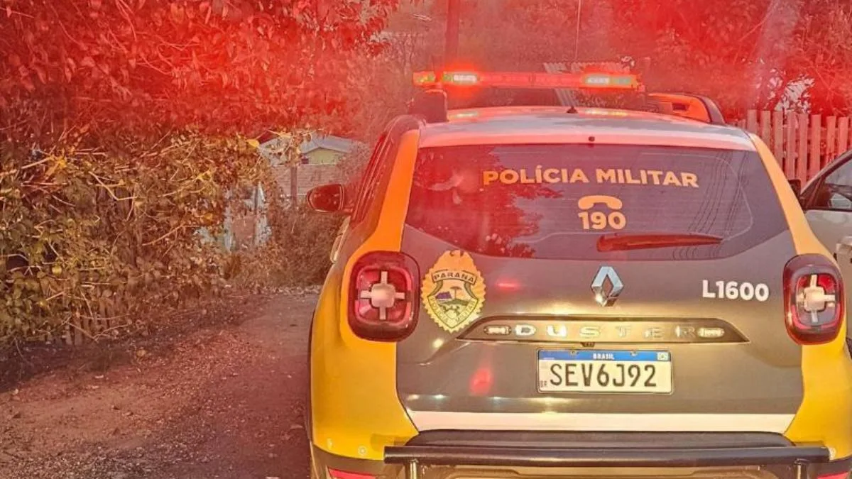 Jovens foram mortos em um matagal em Campo Largo