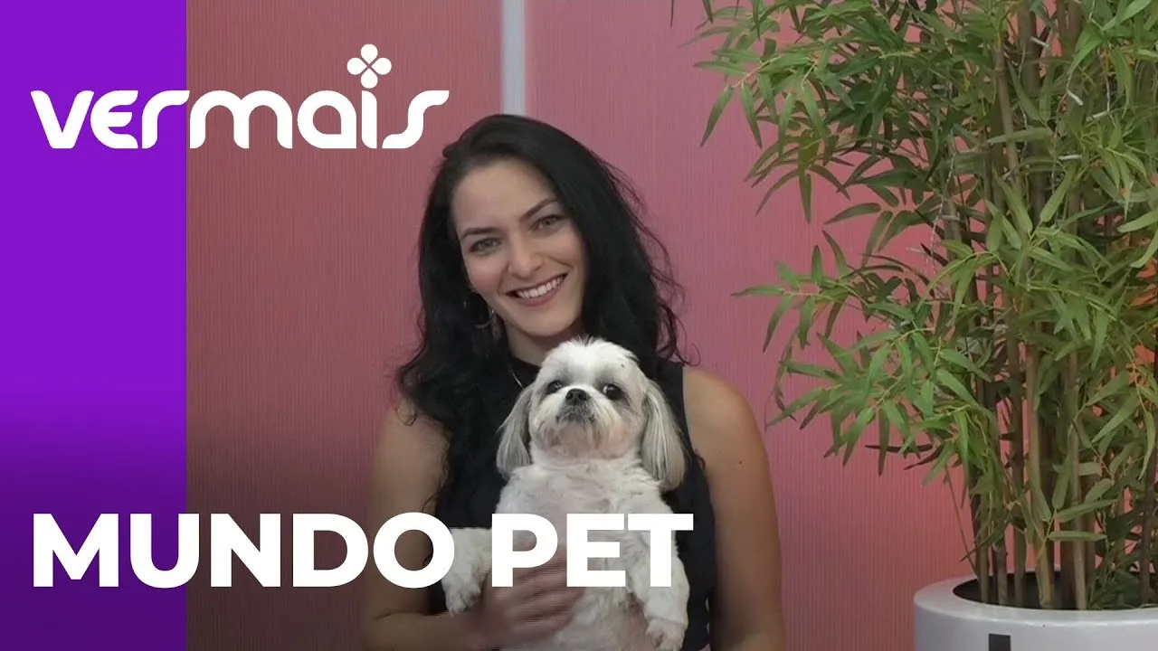 Alimentos tóxicos para seu pets nas festas de fim de ano: como proteger seu animal