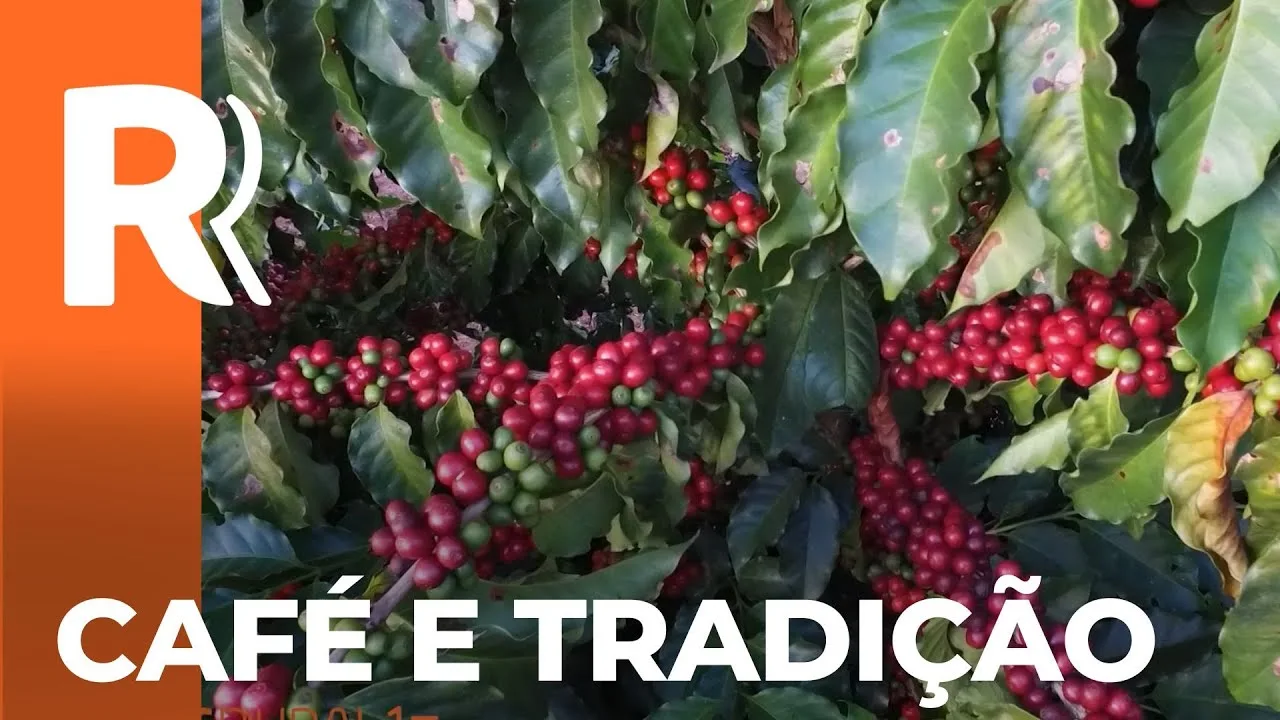 Família de Mandaguari é referência em produzir cafés de qualidade, tipo e exportação