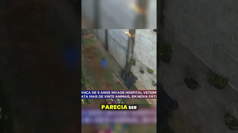 Menino de 9 anos mata animais em hospital veterinário sem remorso