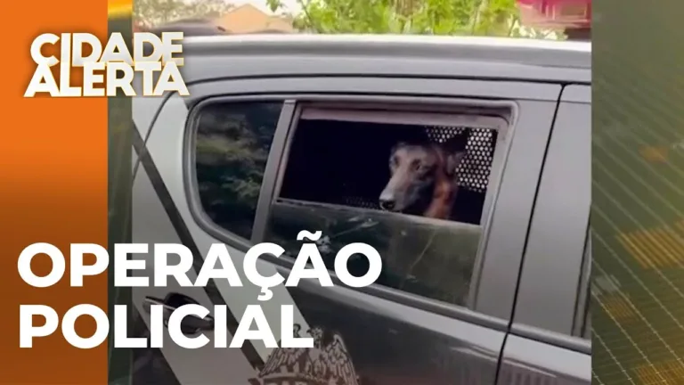 Suspeitos de tráfico são presos em operação conjunta da polícia civil e militar