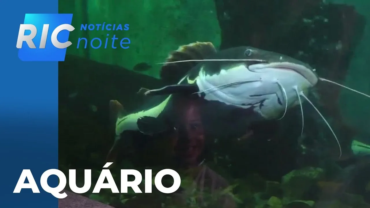 Aquário Municipal de Toledo faz sucesso e atrai turistas no Paraná