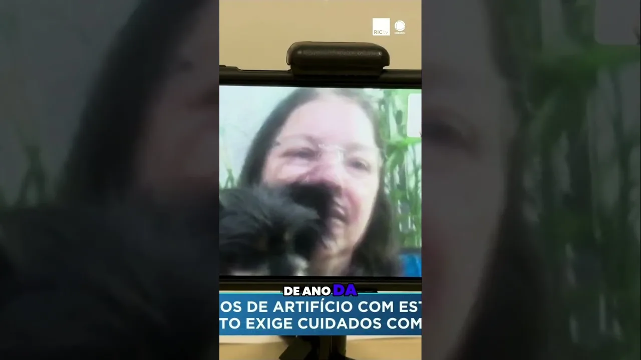 Lei proíbe fogos de artifício com estampido, mas o desrespeito exige cuidados com animais