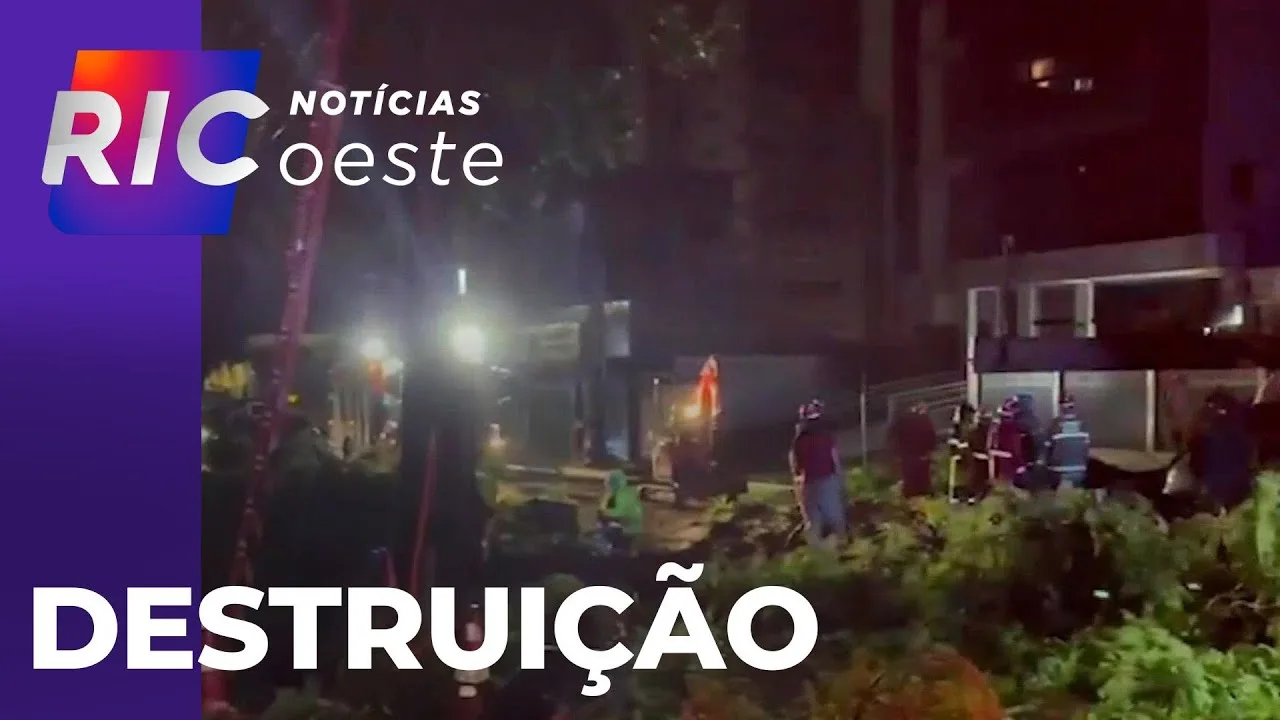 Árvore cai em Cascavel e causa estragos; 5 carros e um restaurante foram atingidos