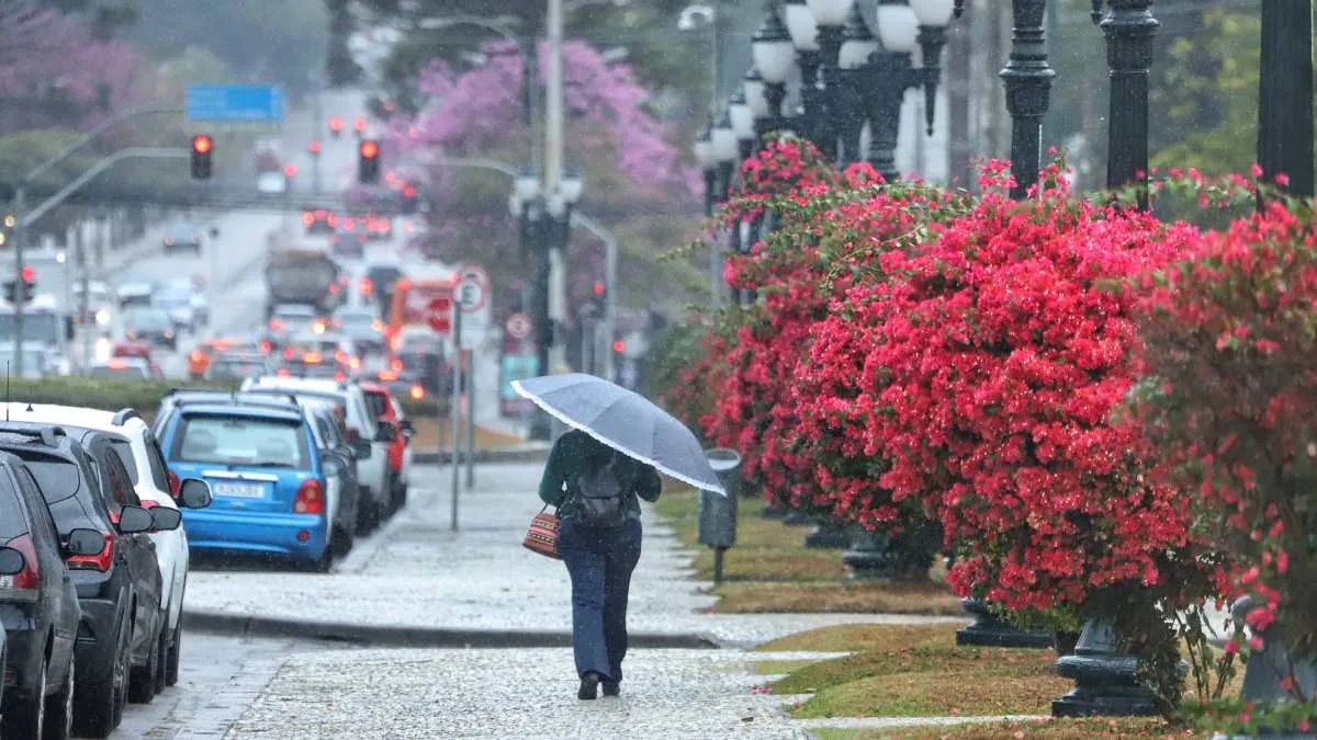 Pancadas de chuva e rajadas de vento atingem o Paraná; veja previsão