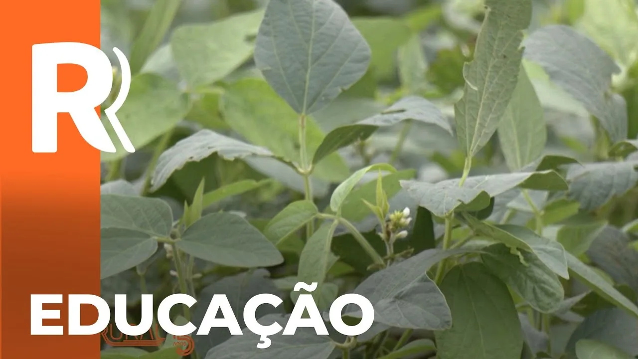 Cursos de atualização do cultivo da soja