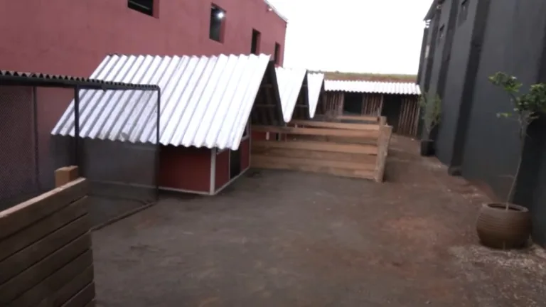 Criança invadiu fazendinha de hospital veterinário um dia após inauguração