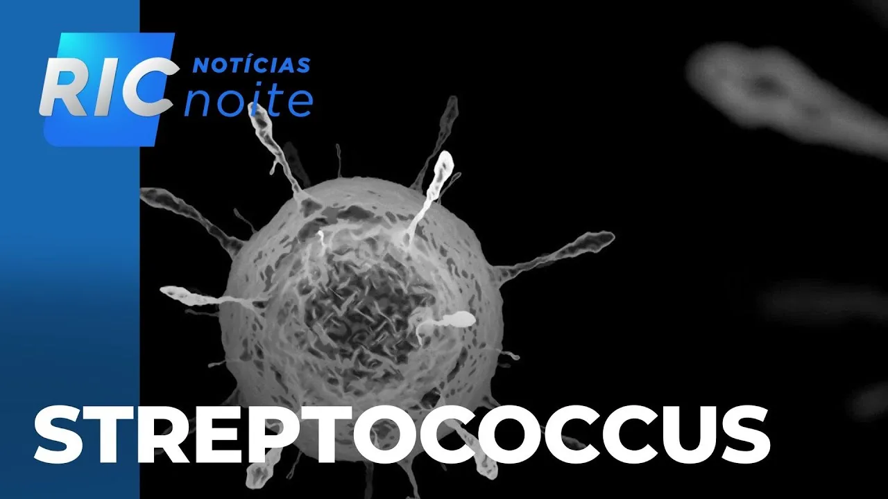 Bacteria Streptococcus já provocou 2 mortes em Cascavel; Secretaria da Saúde faz alerta