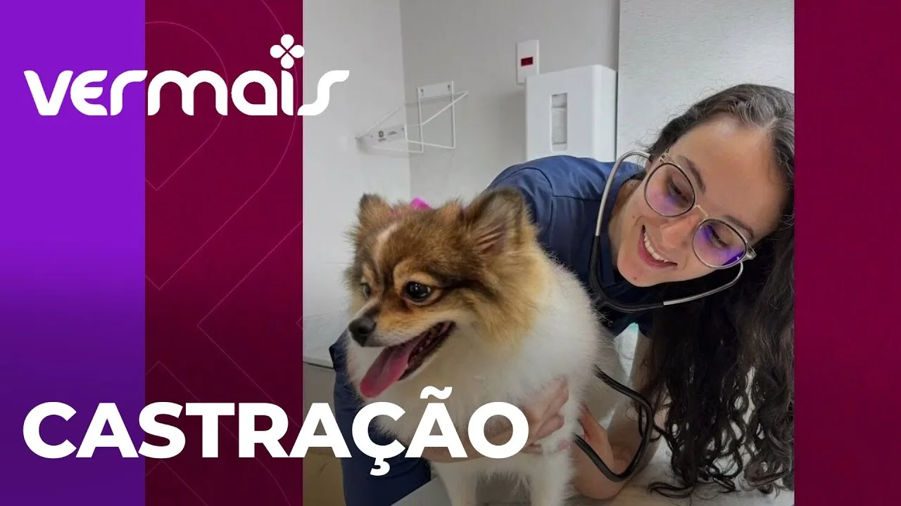 Entenda mais sobre a castração e como ela pode prolongar os anos de vida do seu pet