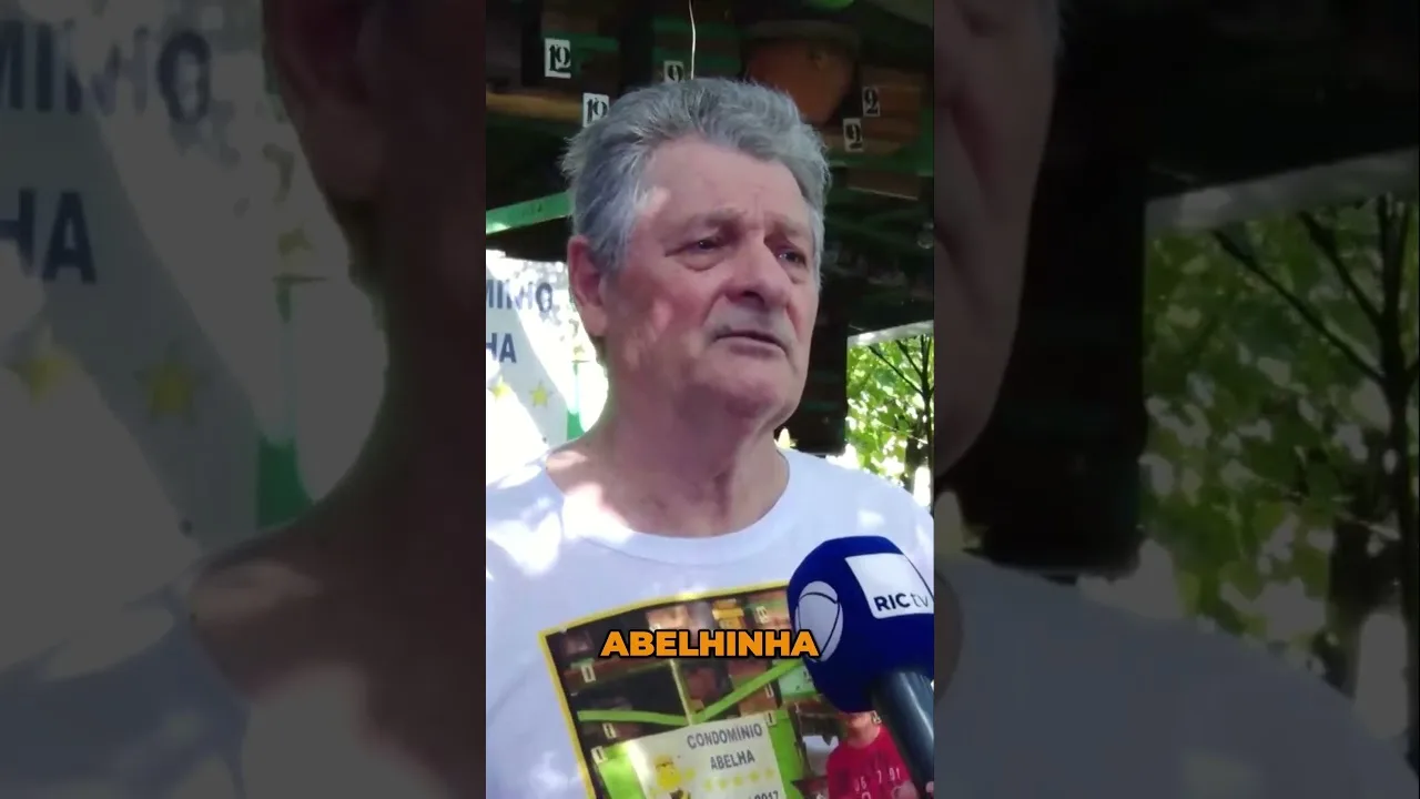 O Poder das Abelhas  #abelhas #colônia #mel