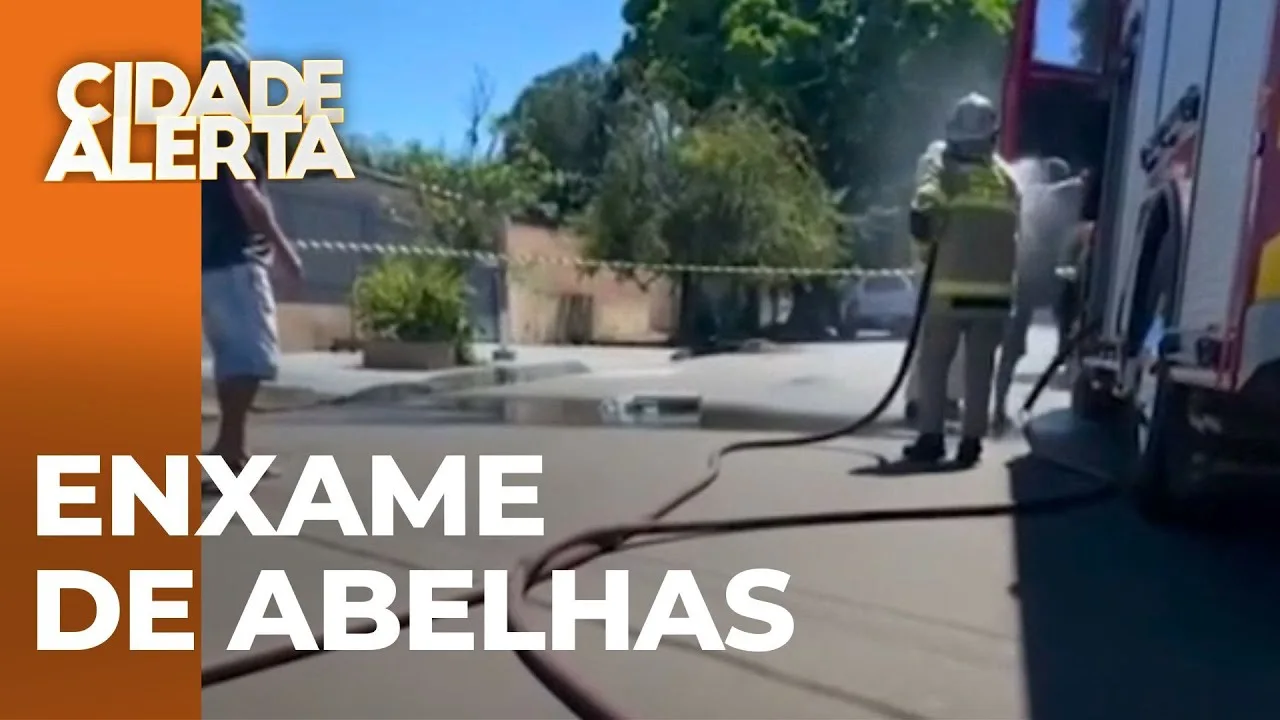 Idoso limpava o quintal e foi atacado por um enxame de abelhas