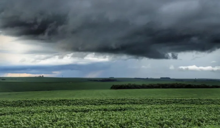 A previsão do tempo aponta que no primeiro dia de fevereiro ainda haverá altas temperaturas e pancadas de chuvas