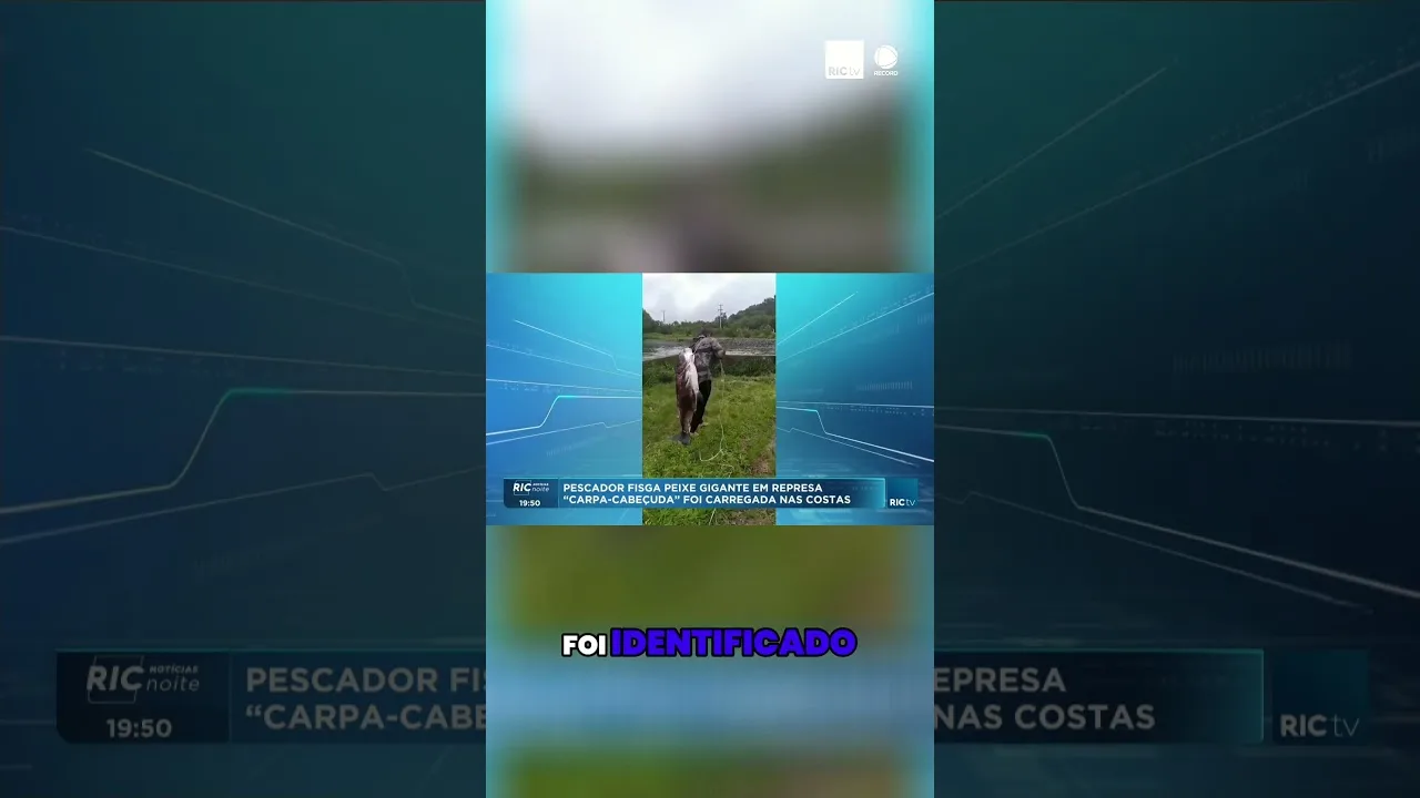 Pescador fisga peixe gigante em represa; carpa foi carregada nas costas