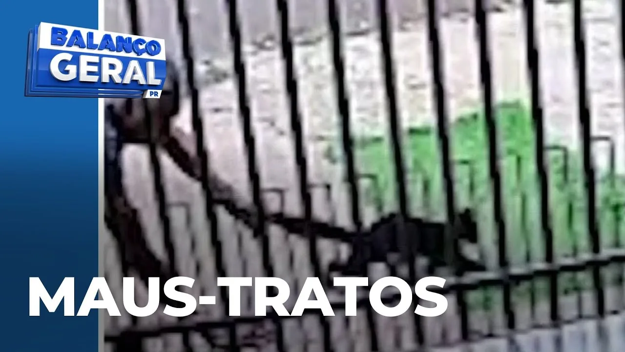 Maus-tratos em Cascavel: homem é preso após arremessar gato na rua